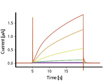 IKs Currents (KCNE1)